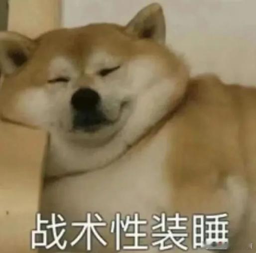 #今天追了什么剧# ​​​