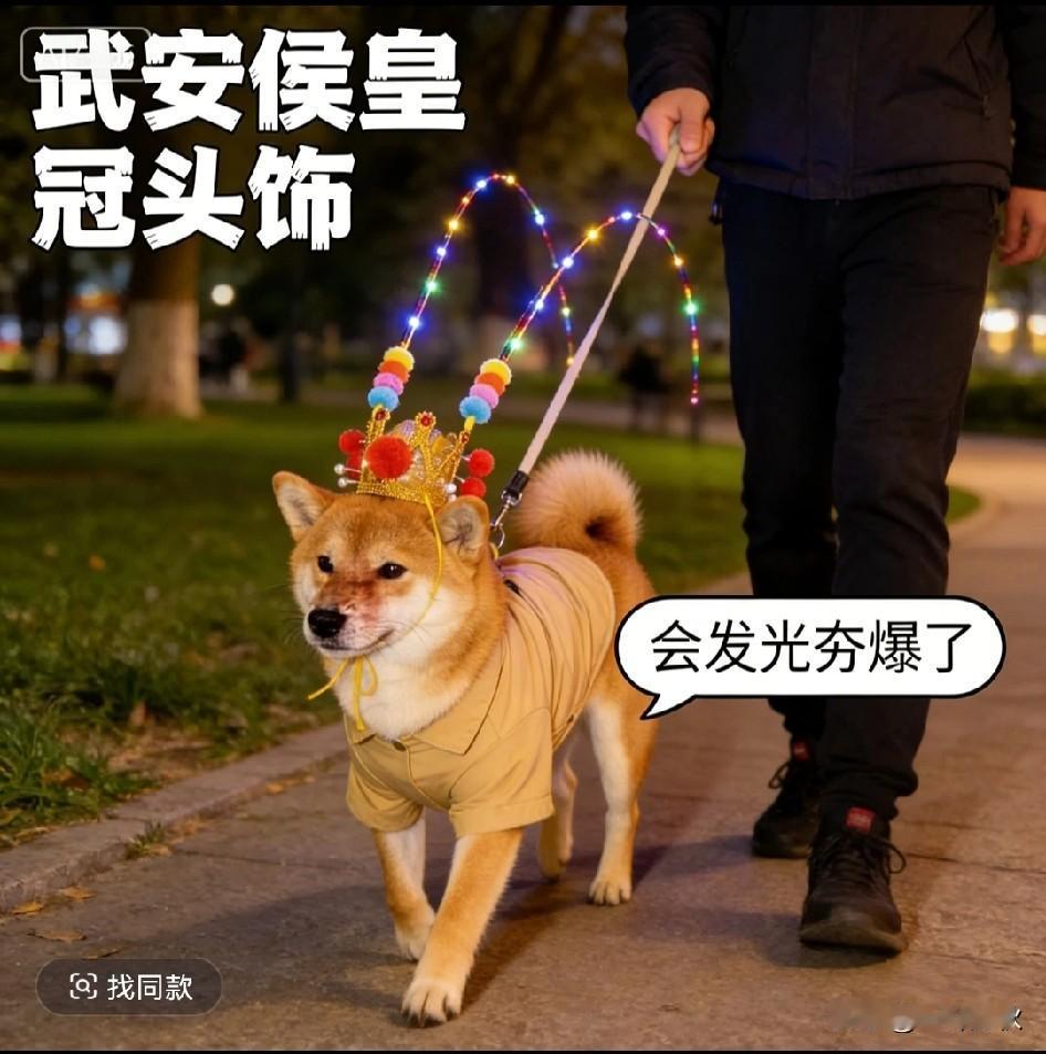武安侯同款头饰，你的爱犬值得拥有，会发光更帅气。