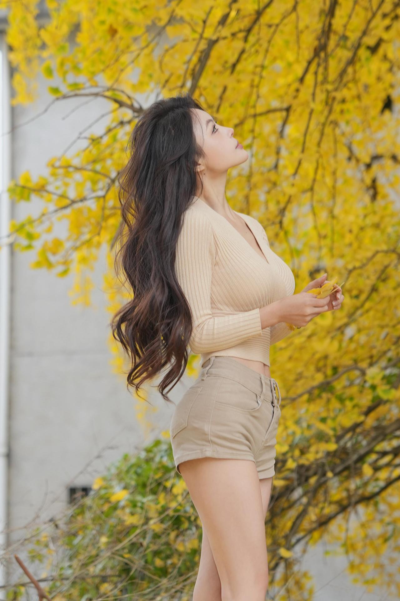 村口的银杏，是秋日最绚烂的守望者。

金黄的叶片如蝶翼般层叠，将古朴的村落晕染成