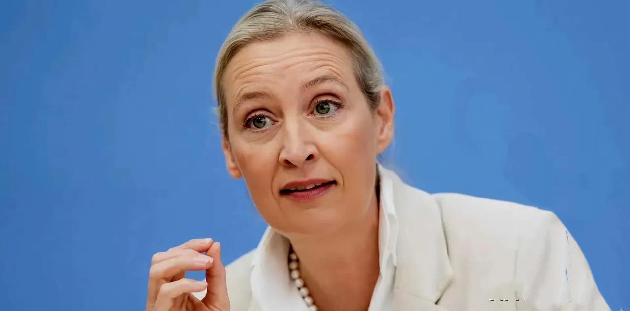 魏德尔真是了不得！

德国选择党领袖爱丽丝·魏德尔直言，如果自己能够上台，第一件
