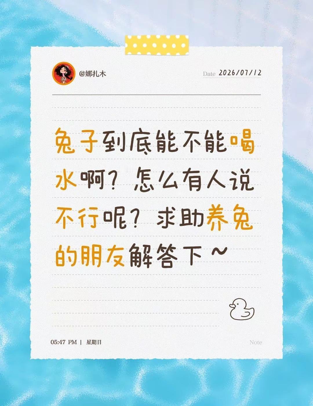 兔子到底能不能喝水啊？怎么有人说不行呢？求助养兔的朋友解答下～养兔兔 宠物兔子 