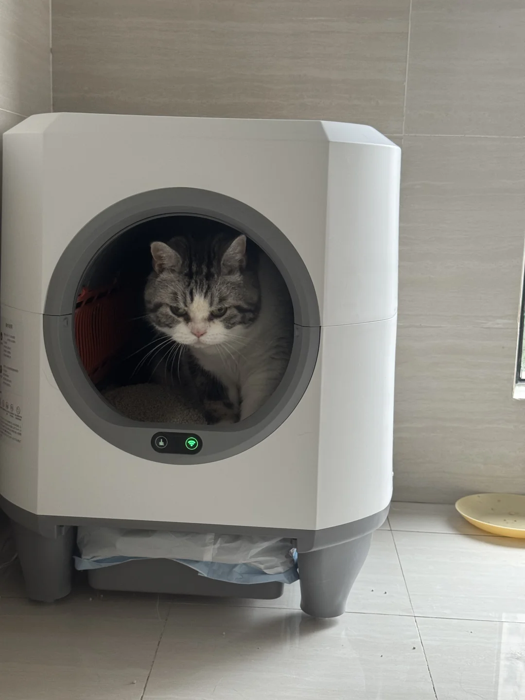 小🐱咪的新装备
