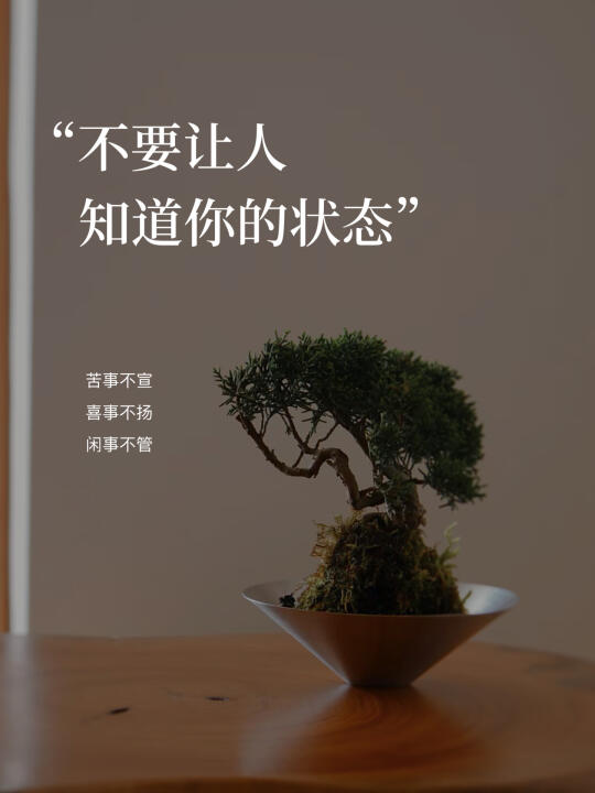 2025，千万不要让人知道你的状态