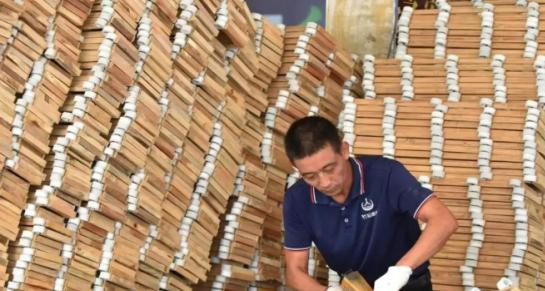 谁说只有电动车能要了石油老命的？中国山里头的竹子才是真正挖了沙特油王祖坟的那把锄