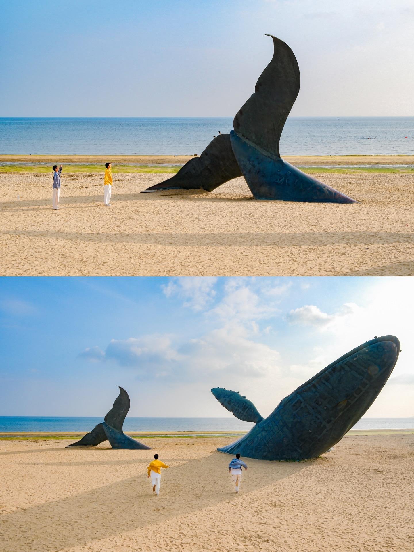 我宣布！接下来的烟台是国内最美海滨城市~很早以前就被孤独的鲸给狠狠种草了烟台~
