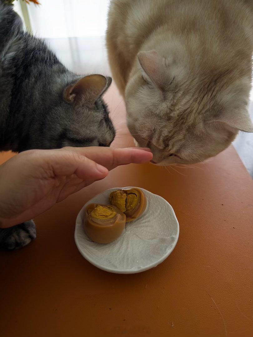 我和健身教练的日常 是我猜错了，教练把她烤好的鸡蛋给了我 3 个，拿回家拆开来，