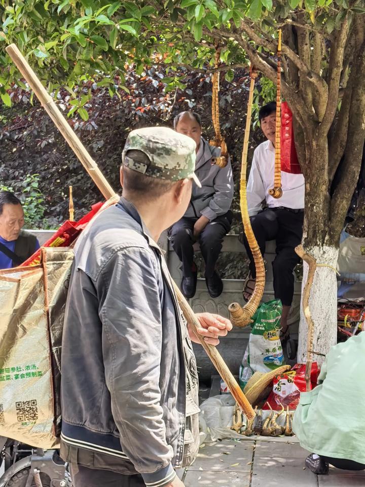 在六枝这片充满神秘与魅力的土地上，民间烟杆宛如一颗颗遗落的明珠，散发着独特而迷人