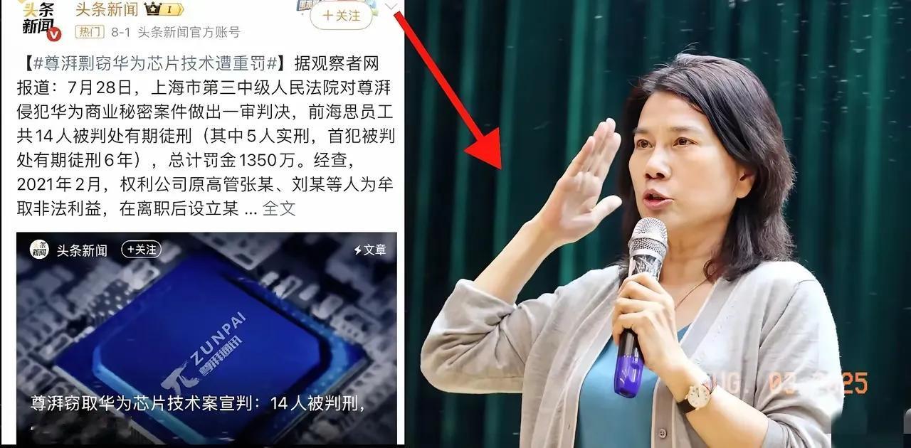 不知大家注意到没？董明珠那句“搞芯片没花国家一分钱”，今天听来格外刺耳。就在7月
