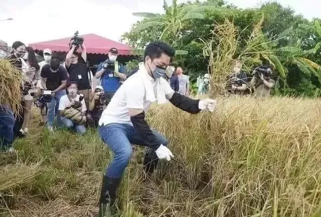 台北市长蒋万安干农活儿，台各大媒体纷纷拍照报道，不过他这造型可不一般，一看就属于