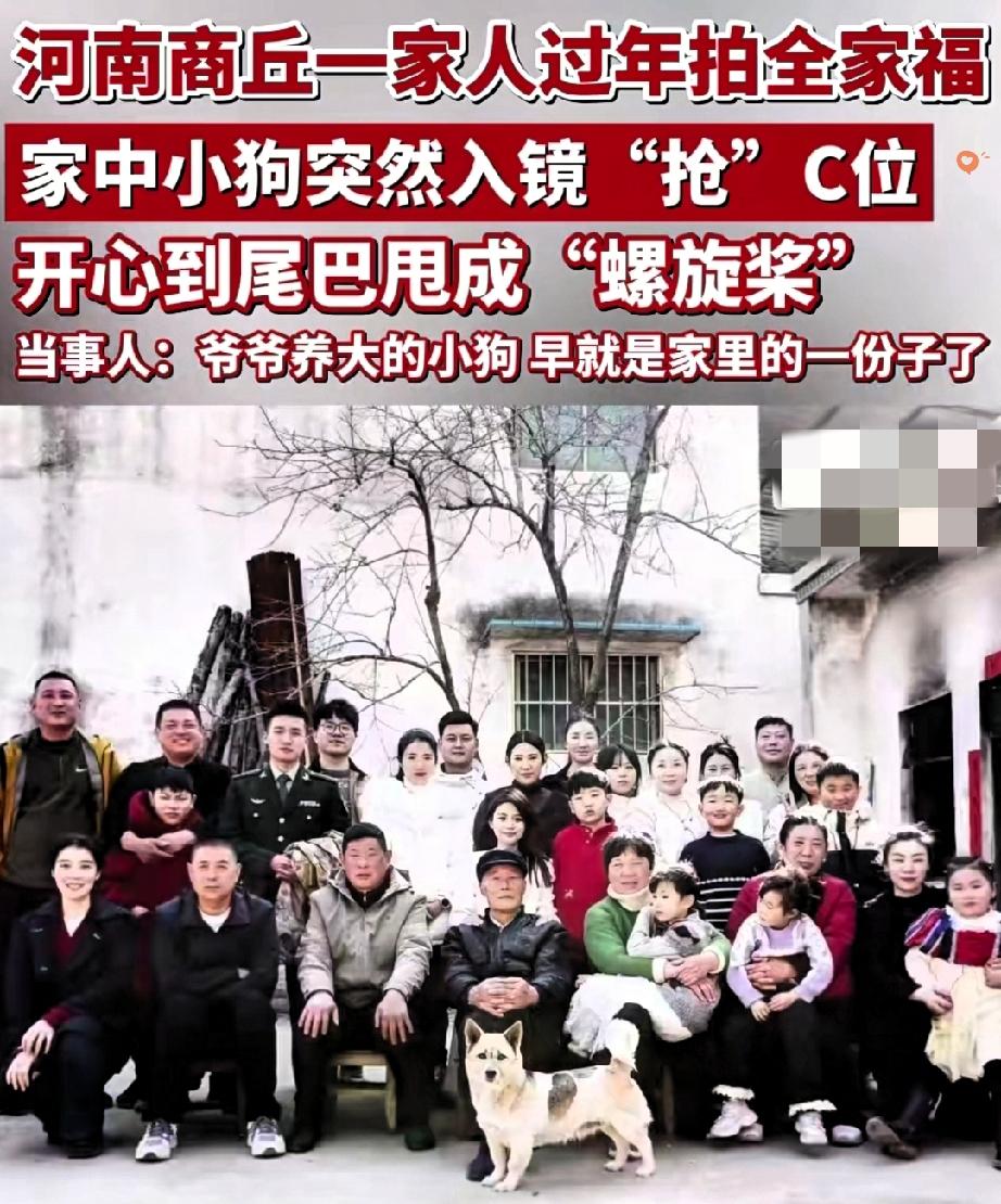 河南陈女士家拍全家福，被一只小狗狠狠“抢戏”了。
 
年初三全家站好准备合影，妹
