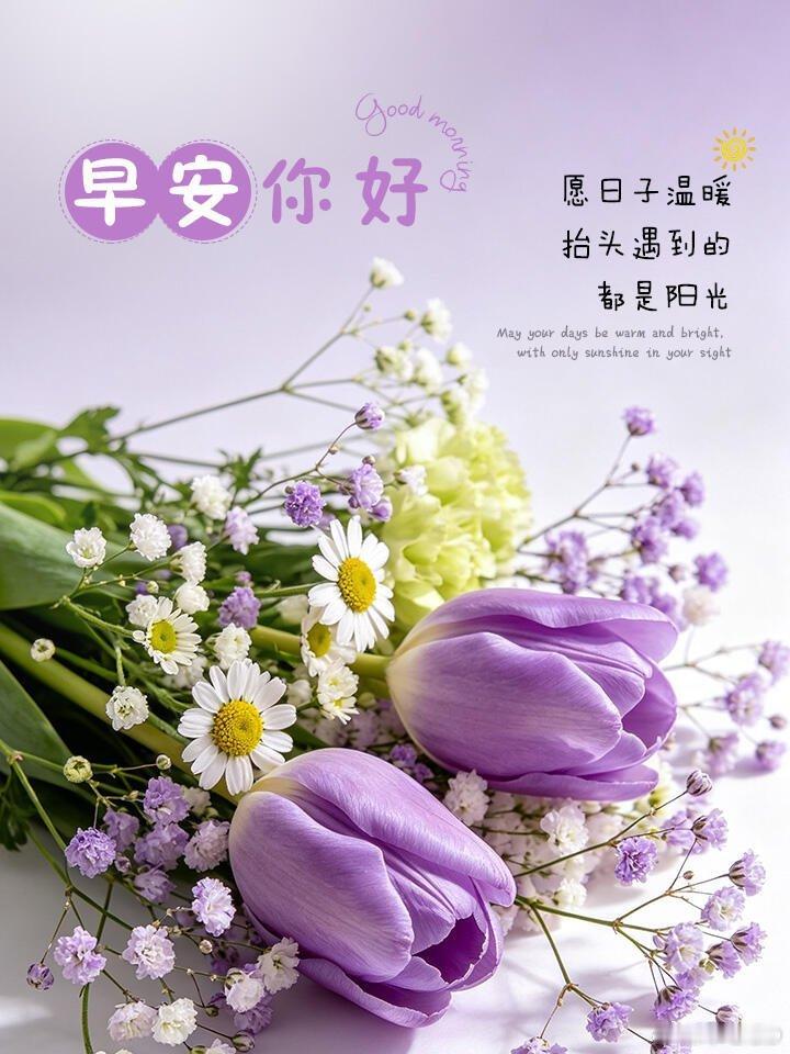 早安🌹🌼🌿²⁰²⁶/₀₈.₀₅ᵕ̈🌿🌼🌹生活自有温柔，热爱没有边界。