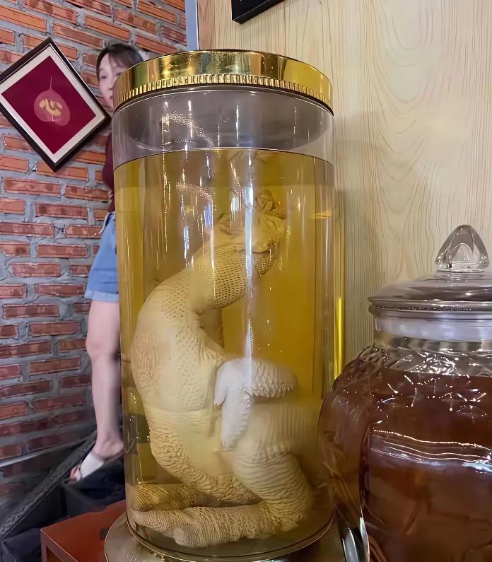 神奇，这是真的吗？