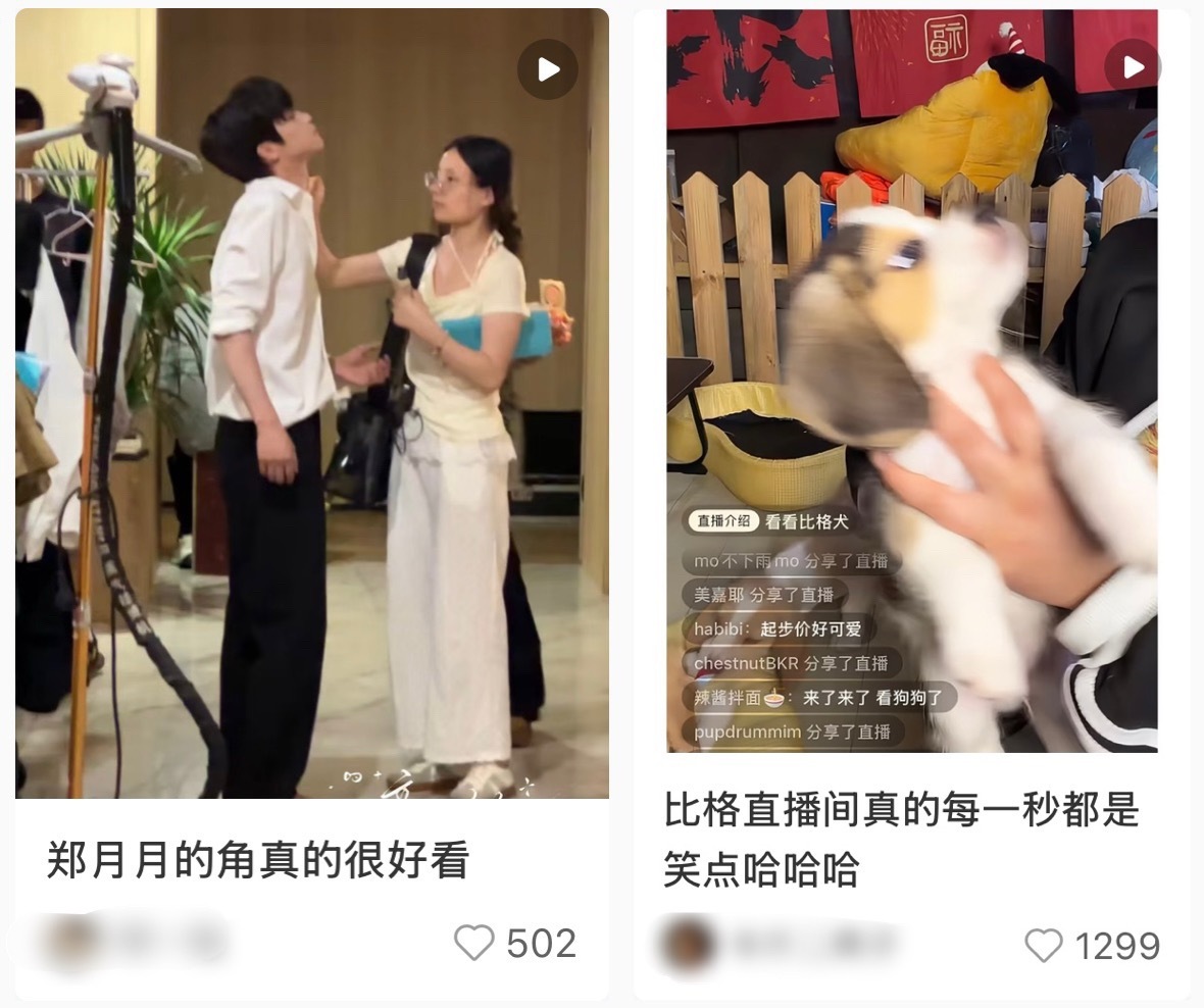 🍠的排版 ​​​