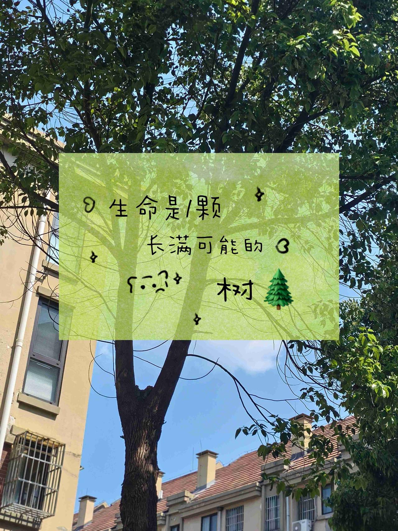 风有风的节奏，
你有你的步调，
慢一点，也没关系。

带定位晒今日生活
我的今日