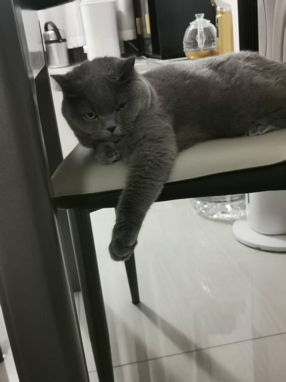 今天唠叨老公几句，
老公嫌我烦，
饭都没吃几口，
就闷闷不乐地下了桌，
头都没回