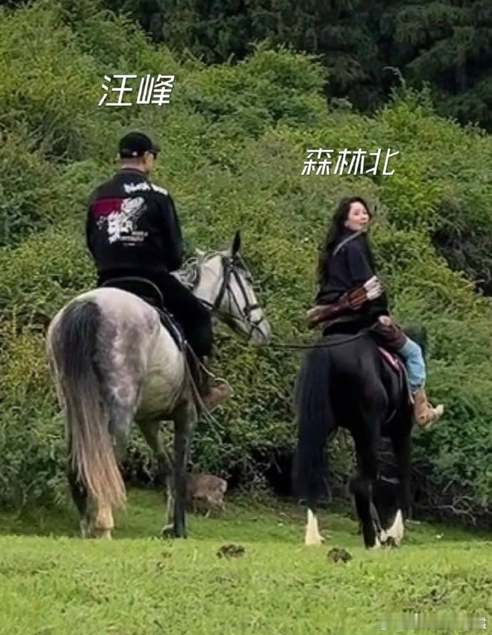 #汪峰森林北一起骑马#  羡慕汪峰，这个年纪了不断有天天的恋爱[喵喵] ​​​