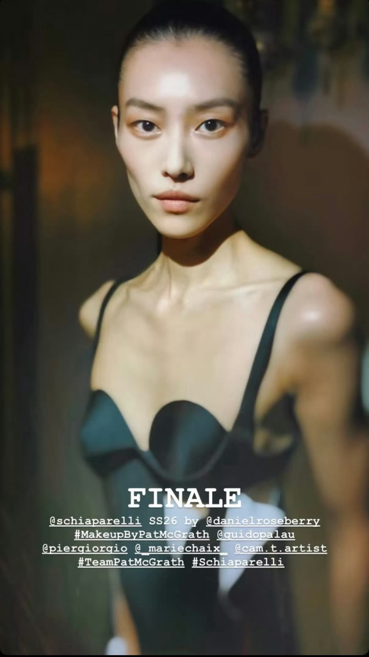 刘雯 x Schiaparelli S/S 2026 ​​​