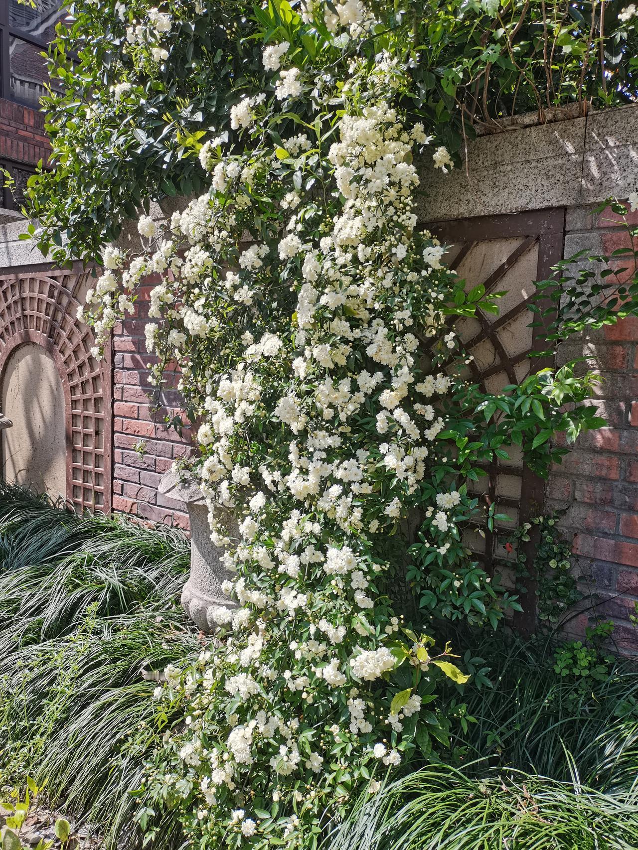 明天考摩托车驾照科目一，
请了一天假，
但跟小老板妈妈说错了一句话。

早上去上