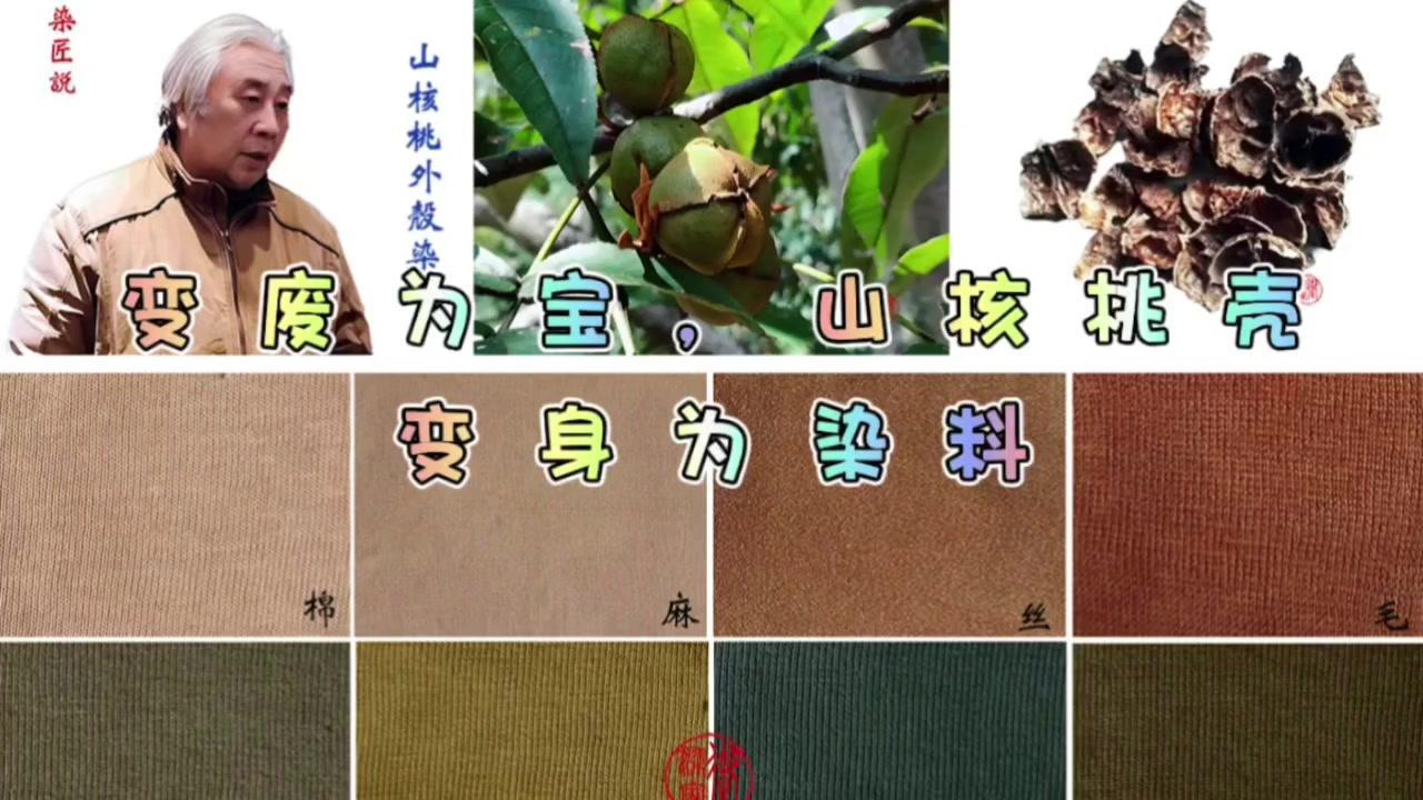 🌰山核桃，一种广受欢迎的高档坚果，果仁可以实用，但外皮和果壳被废弃了，没有得到