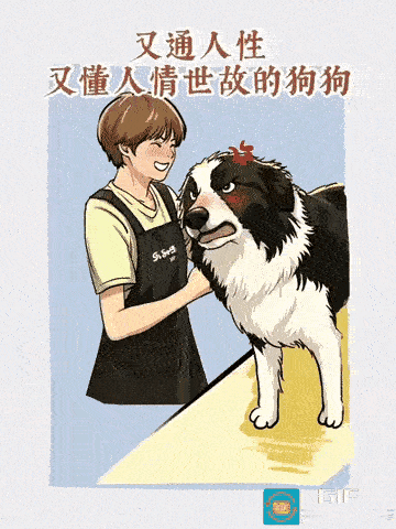 这狗比主人智商都高🤪🥰