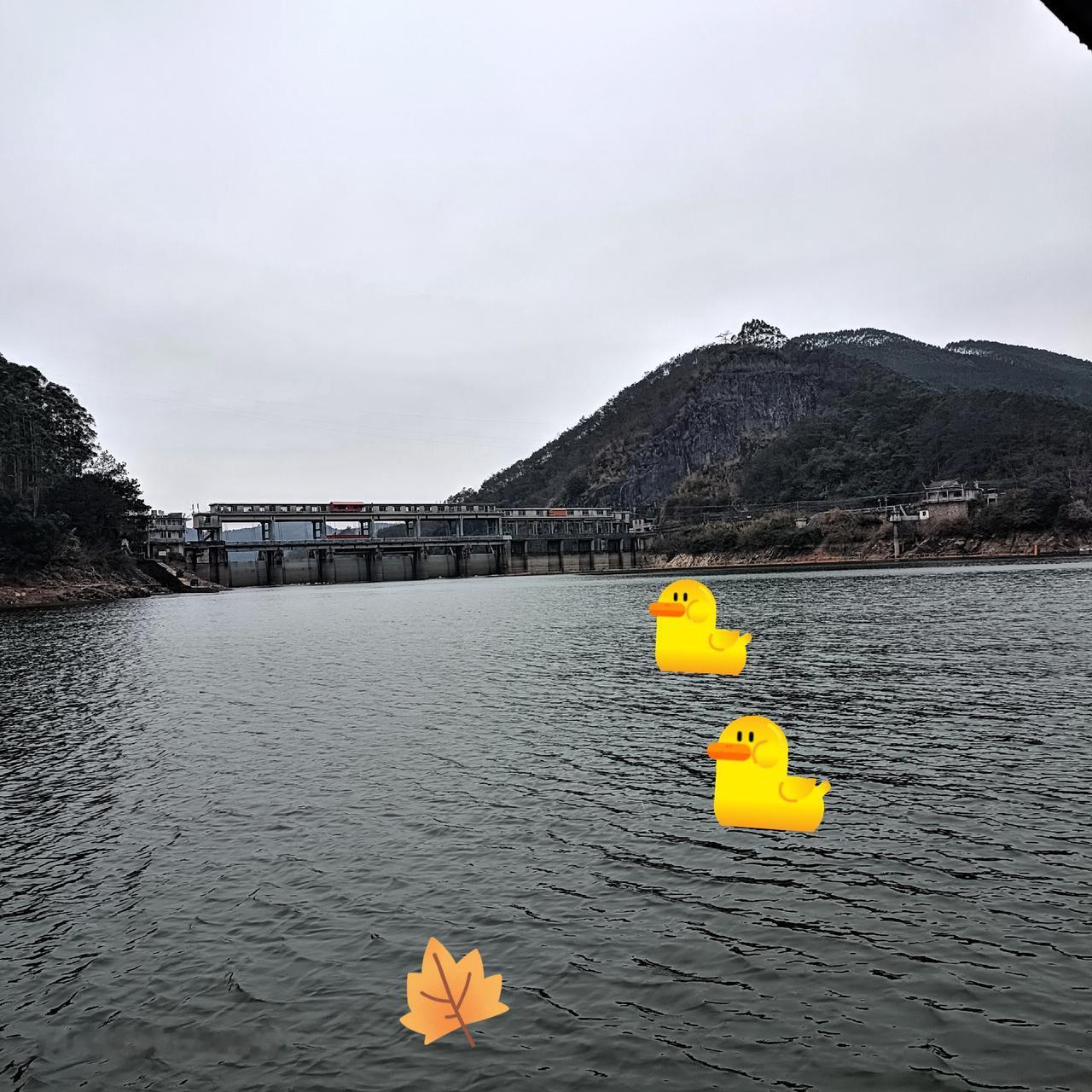 人生有两件事，向来不由人。
一是缘起缘灭的相逢，
二是来去无常的生死。
我们总以