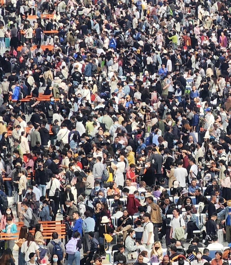 近十年的人口我国人口总量：

1. 2016年：13.83亿
2. 2017年：