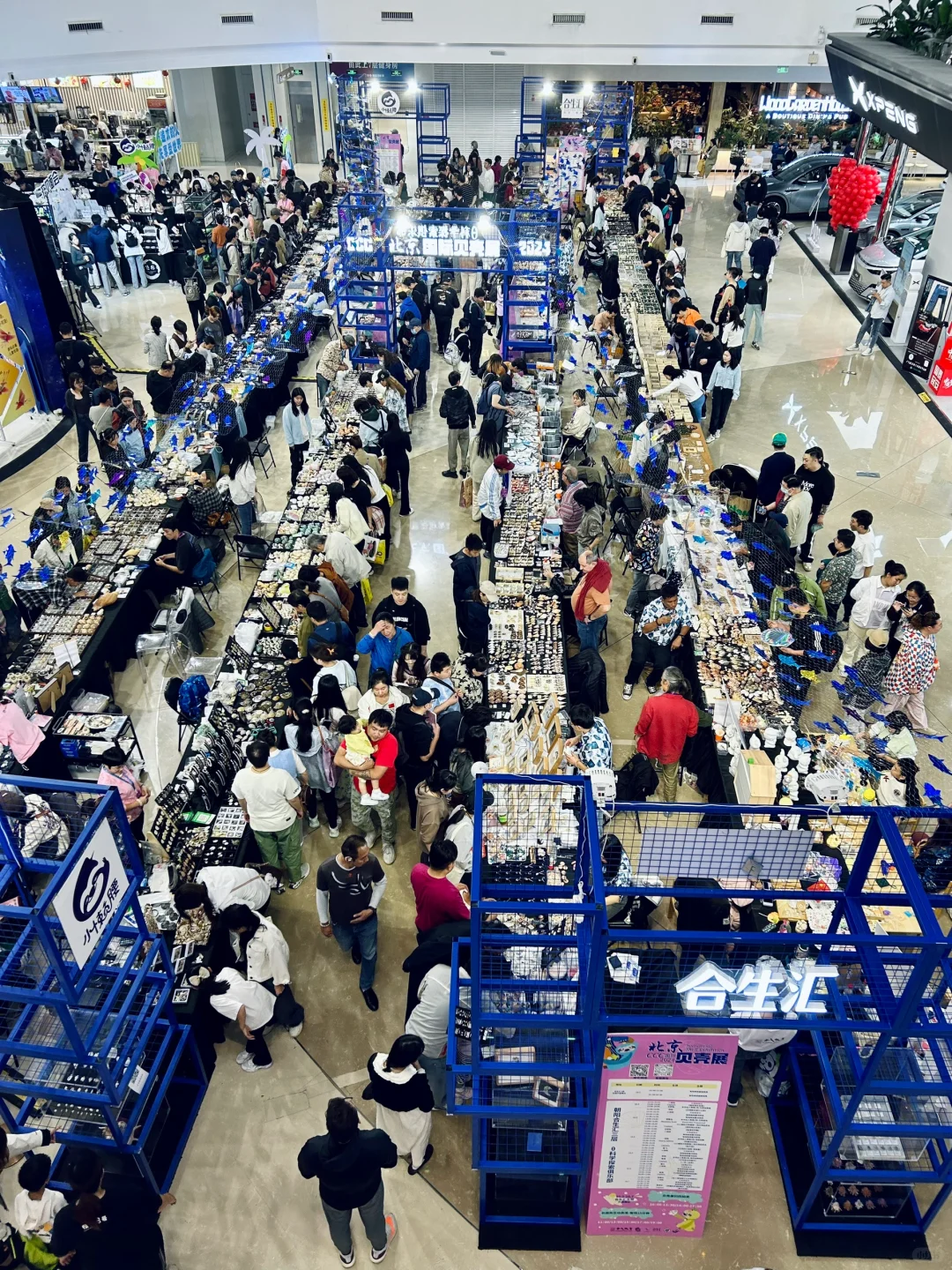 北京贝壳展🐚！真的太🉑了！！！
