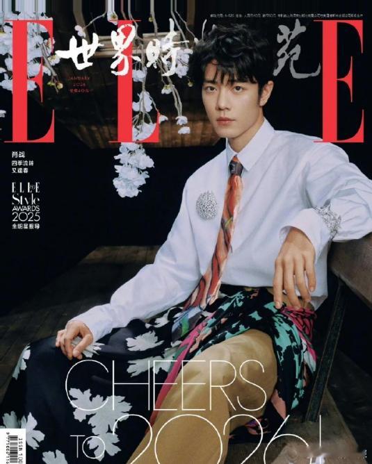 肖战杨幂杨紫迪丽热巴2026开年刊明星2026开年刊明星2026开年刊：肖战，杨