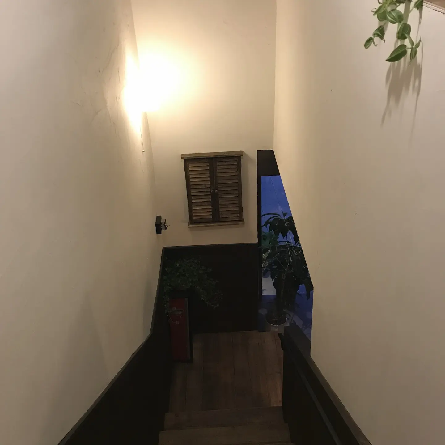 一个人独自穿过喜与悲算是勇敢吗