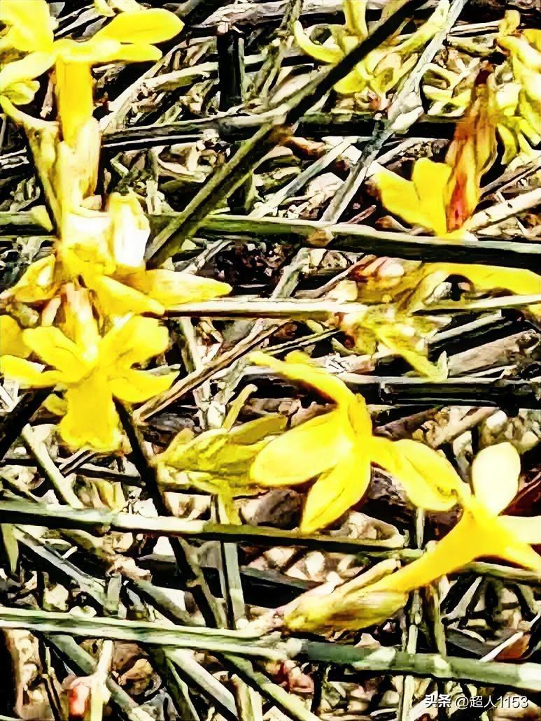 又是美好的一天！
幸福快乐在眼前，
又到春暖花开时。

经历方知岁月短，
好好珍