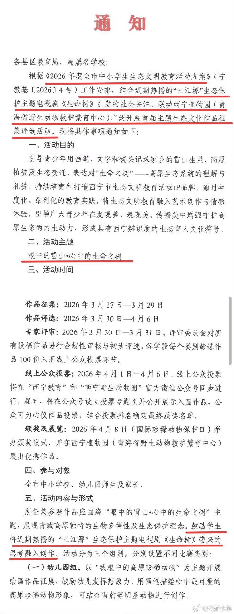 大爆剧、良心剧，值得所有称赞👍🏻，杨紫《生命树🌲》伟大杨紫