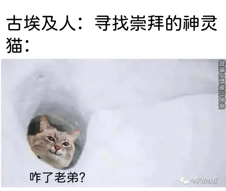 <img src=