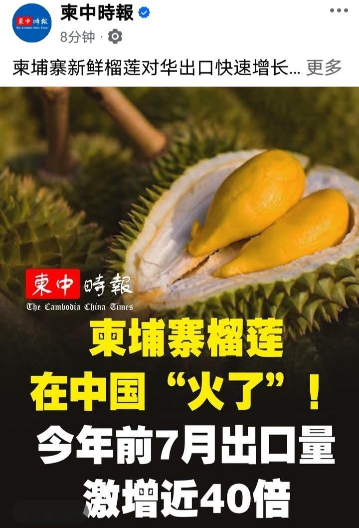 柬媒：柬埔寨新鲜榴莲对华出口快速增长。今年前7个月出口量达5738吨，较2025