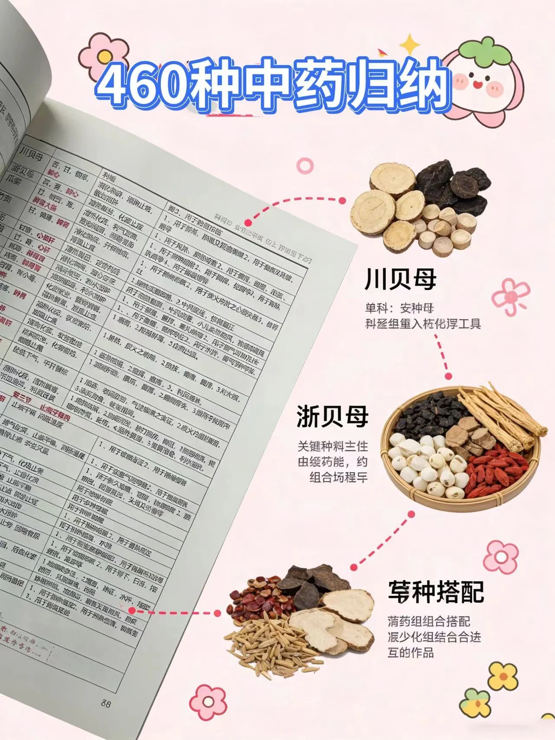 🔥中药党归纳！460味中药直接“焊”在书