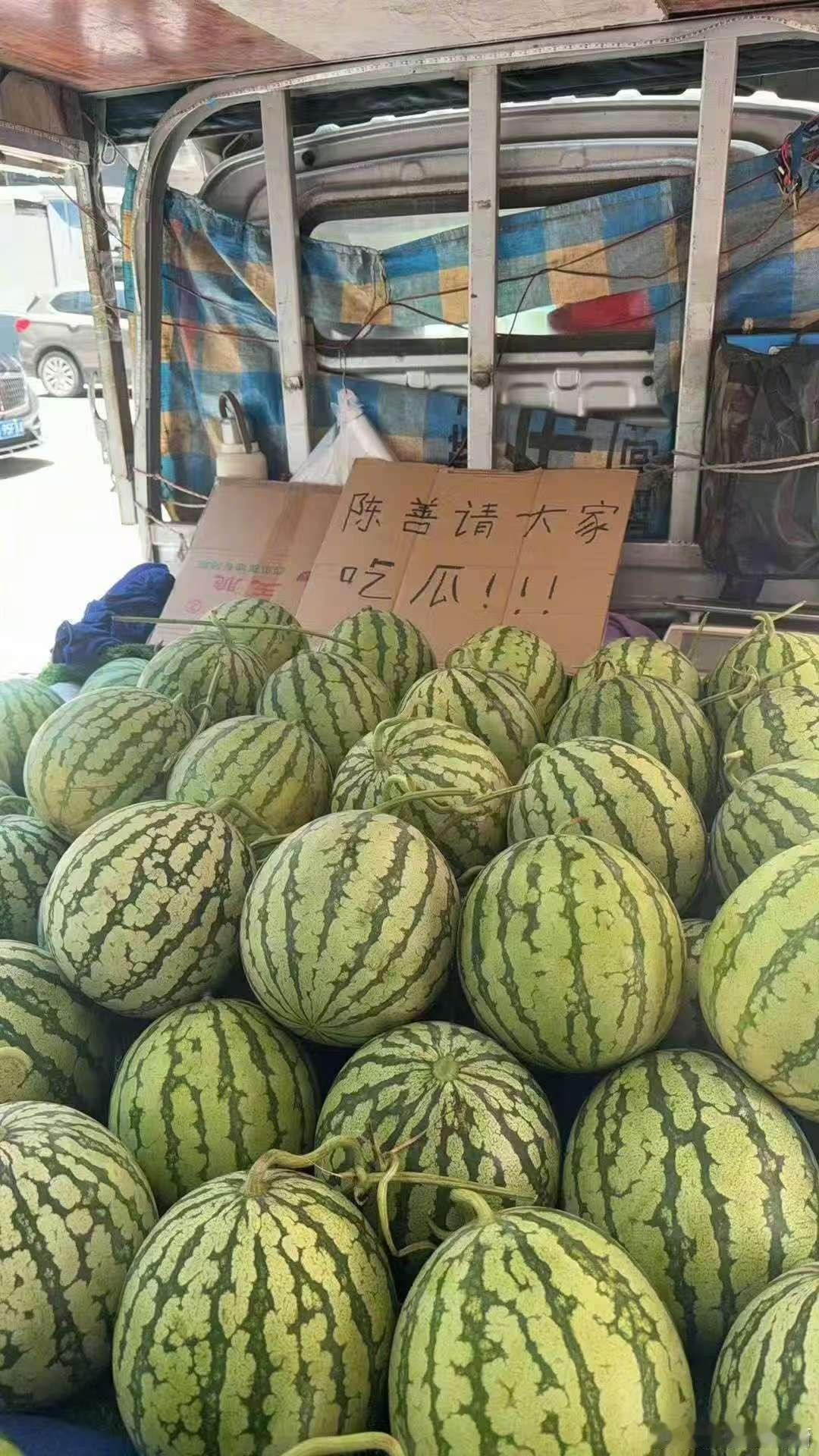 陈哲远送完玫瑰送雪糕七夕的礼物陈哲远给我了 好好好，玫瑰已经送过了，七夕雪糕也安