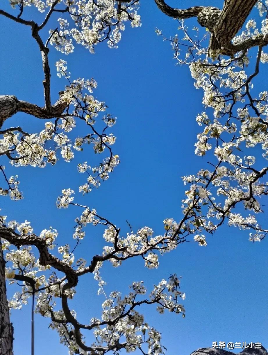 今天超级冷啊，群里通知今天要开会。其实我今天头疼，一天也没出屋。但是我想我还是去