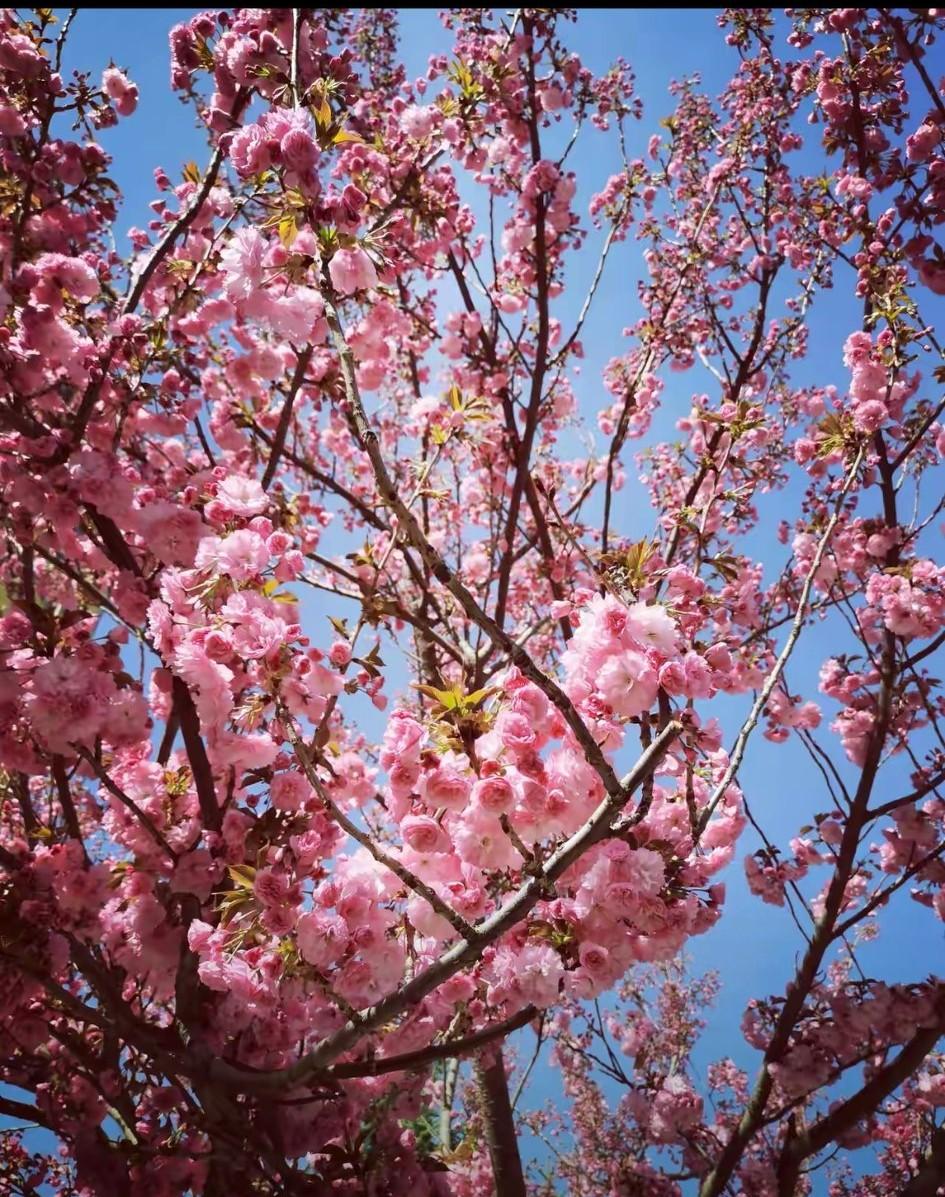 大学生上大学，各地消费水平不一样，到底给孩子多少钱？还得因地制宜，还得分男生还是