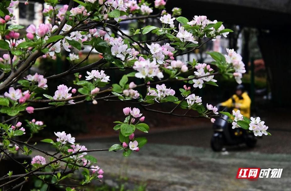 读《近思录》之3.61.2

夫子当周之末，以圣人不复作也，顺天应时之治不复有也