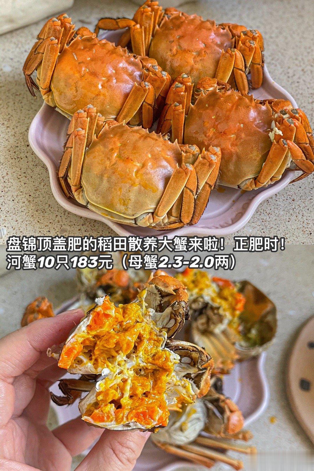 姐妹们螃蟹最后3天。现在有公蟹啦，黄油膏超赞。[心][鼓掌]一箱默认全母，公母任