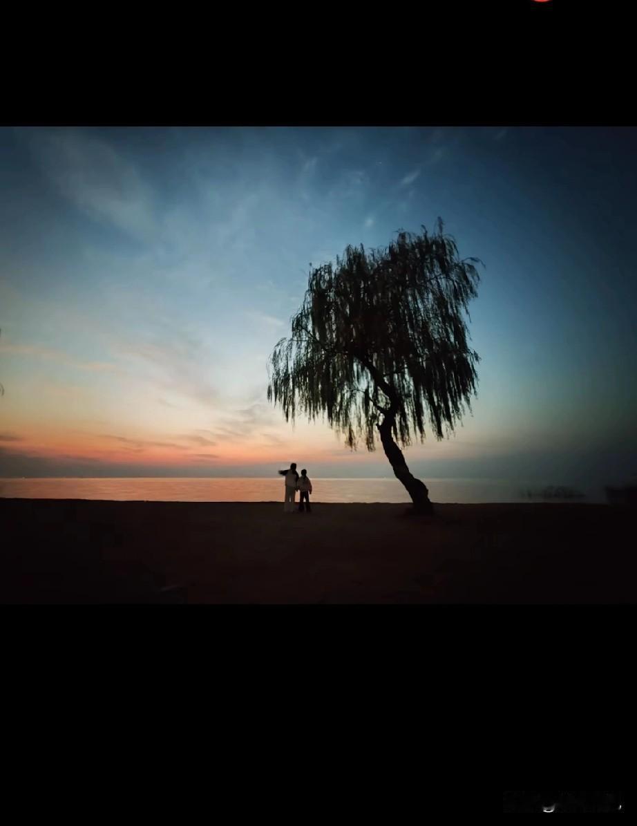 宿迁孤独树🌲，最好的景点之一，很多人去打卡，网红树。