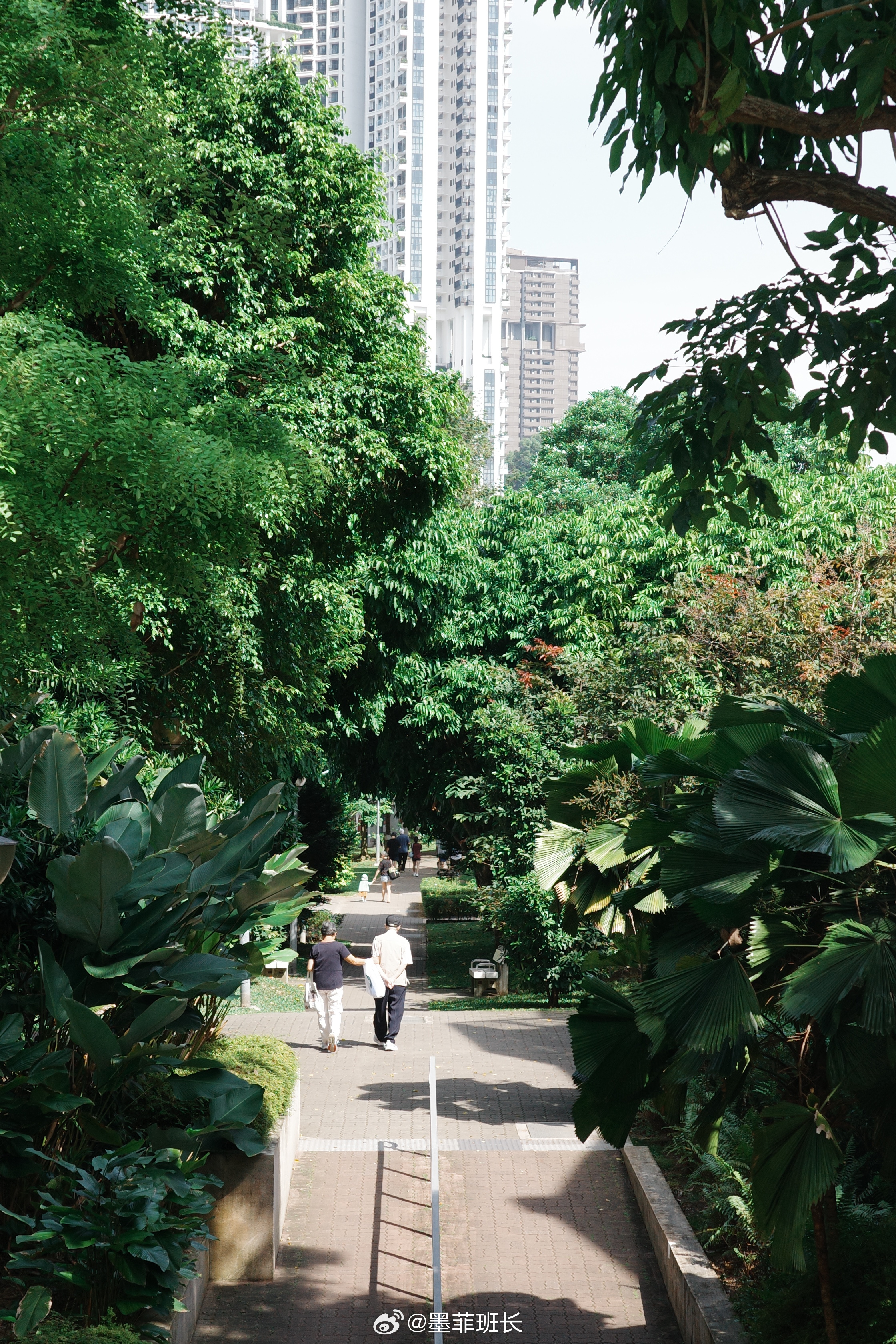 今日份开心🕊️早起去了健身房🏋️burrata三明治很美味🥪互相搀扶行走的