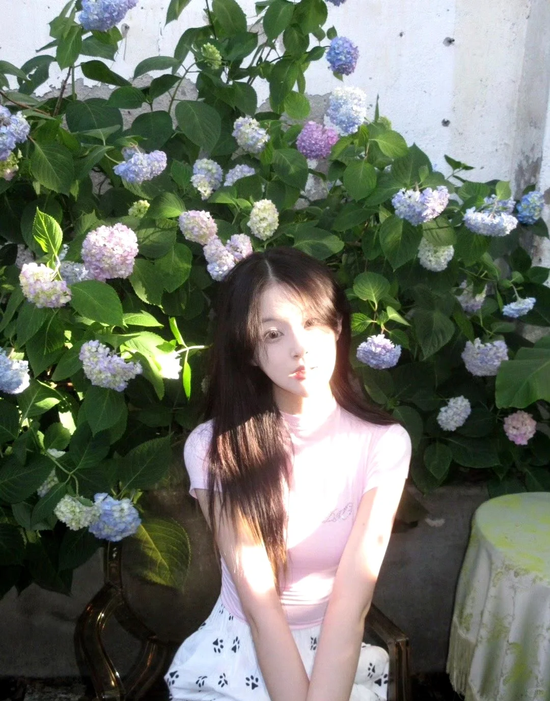 和花花拍照的正确打开方式｜美人美景！