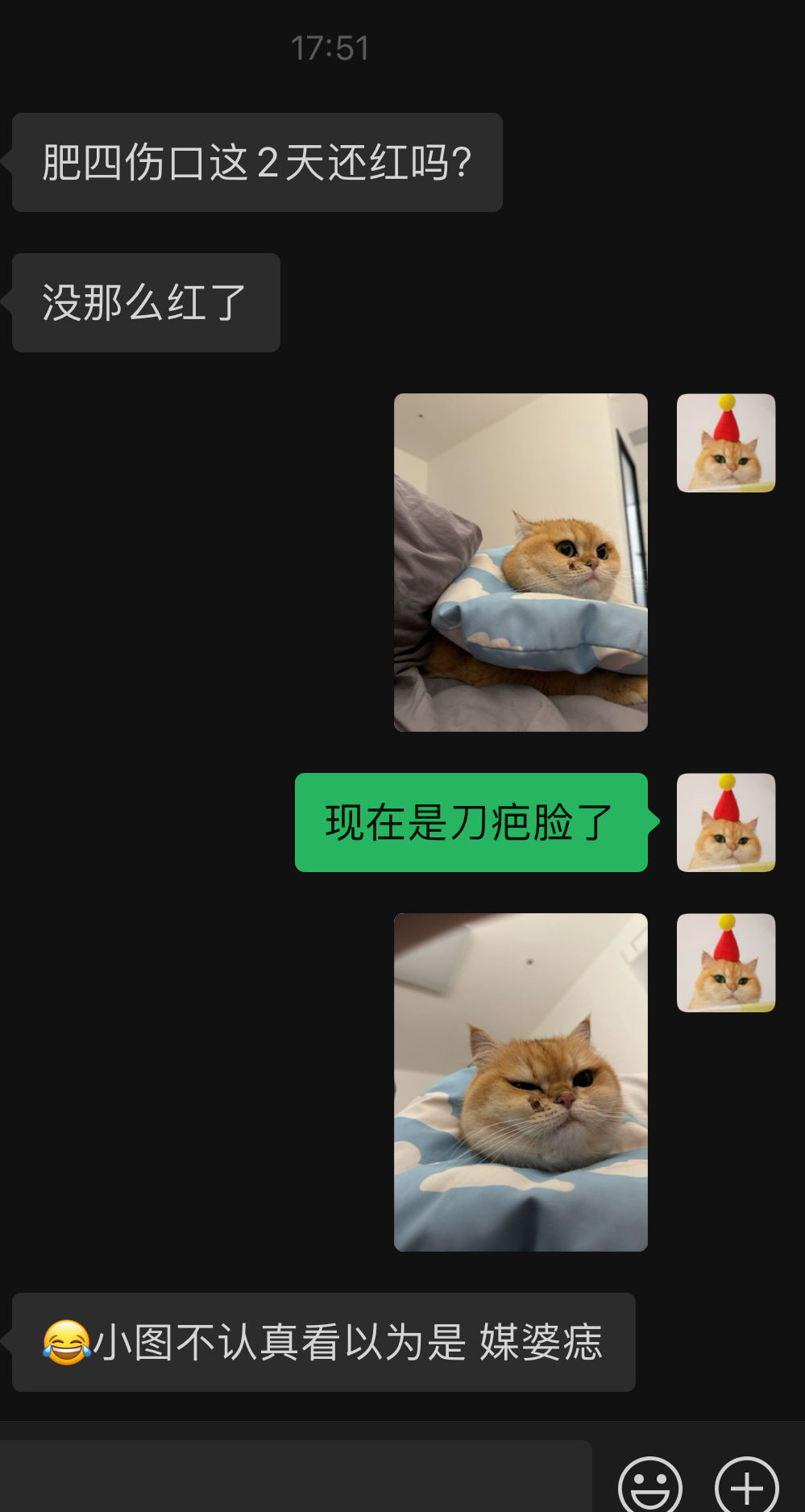 [哆啦A梦害怕]医生回访，有爱但不多#菇冬怎么肥四[超话]##我家有宠初成长# 