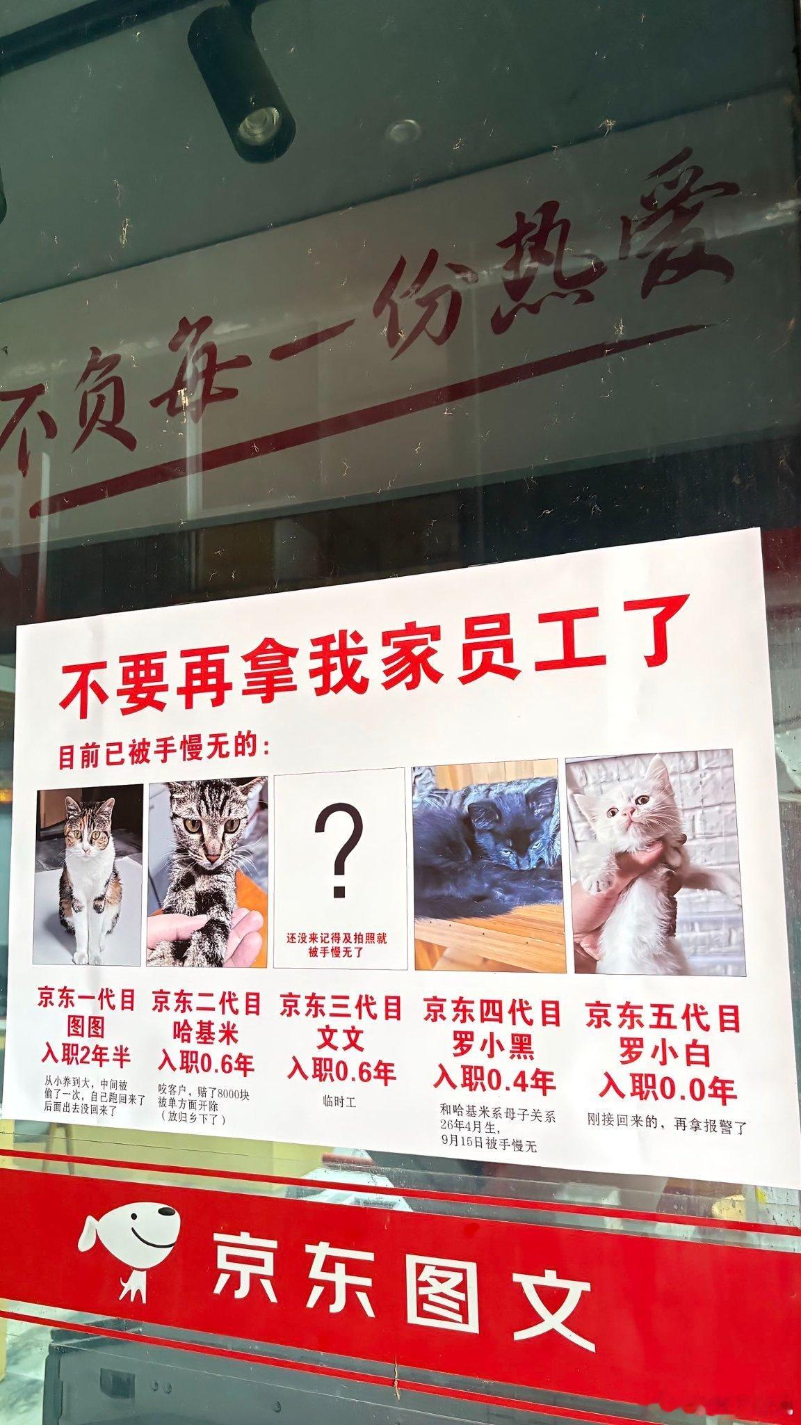 京东员工频繁被挖墙脚，背后的原因竟然是： ​​​