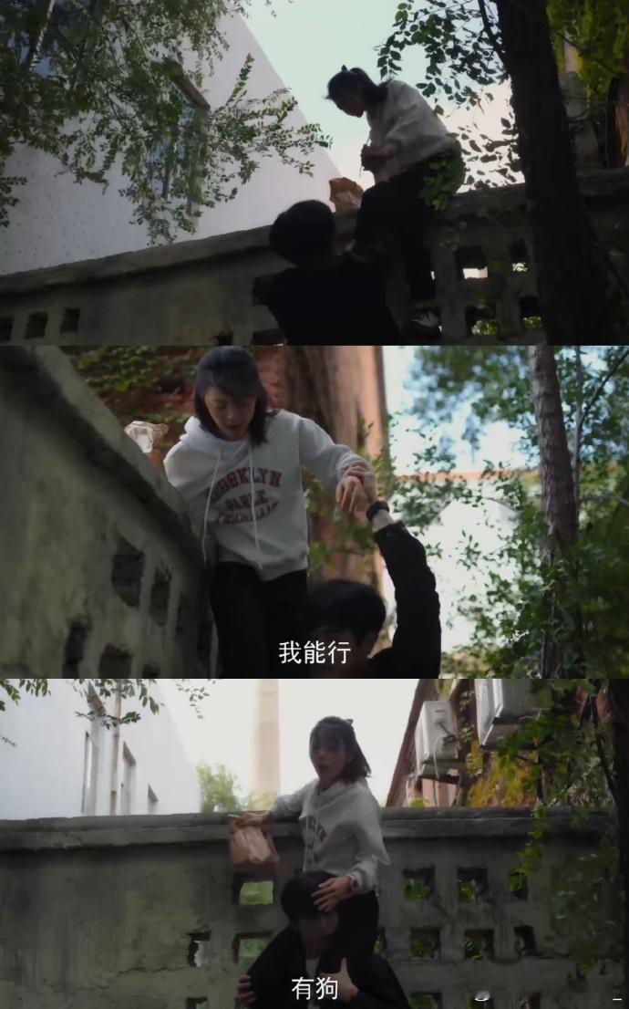 见过公主抱没见过公主驮好好好这下在樱桃琥珀这里看到公主驮了，下次能不能看到蒋峤西