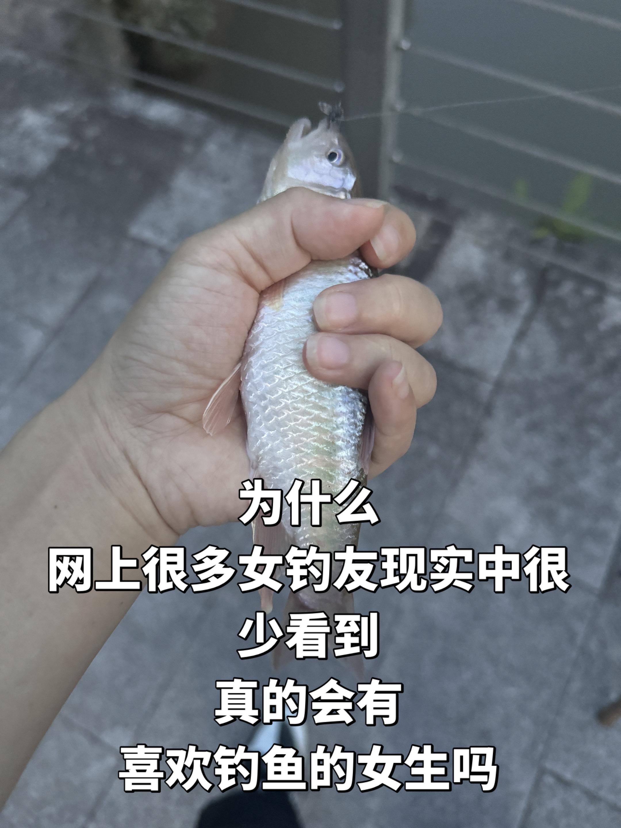 为什么 网上很多女钓友现实中很少看到 真的会有 喜欢钓鱼的女生吗