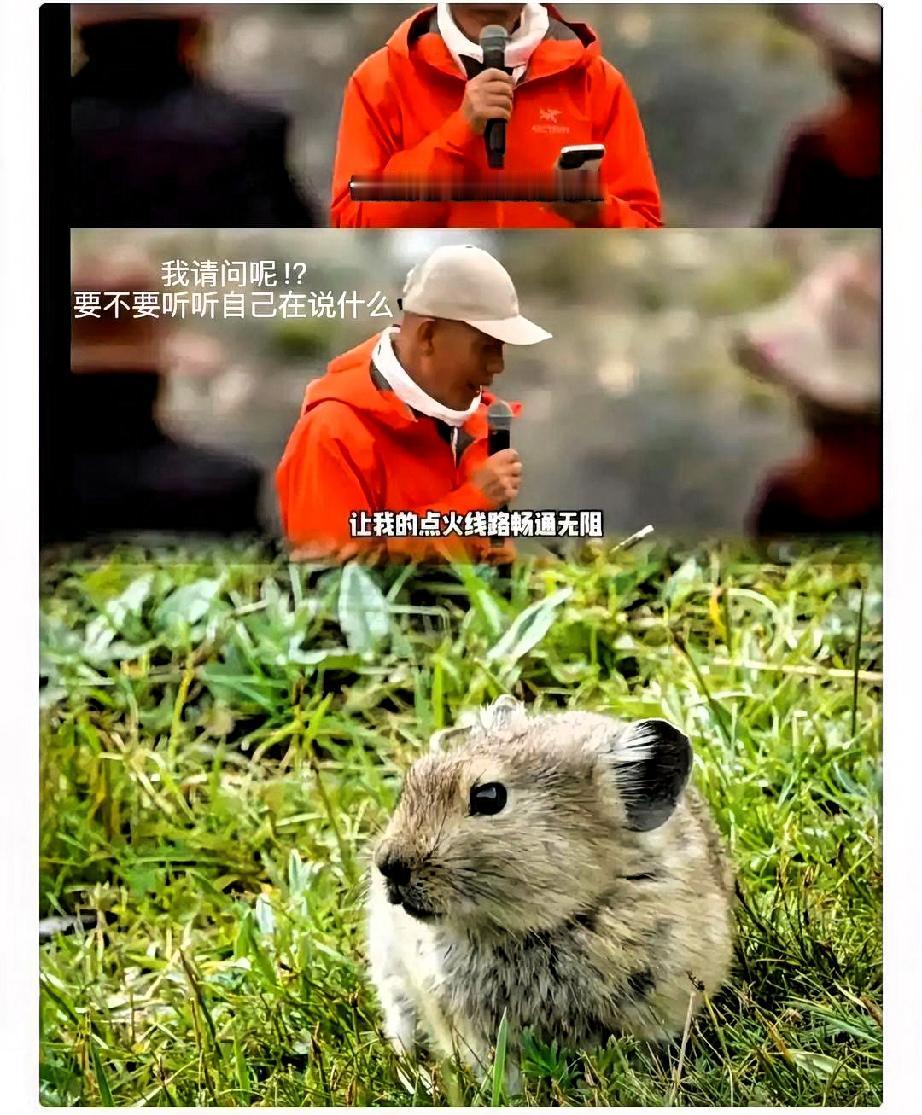 大快人心！蔡国强烟花秀将依法追究责任！
原来，蔡国强这个烟花秀

是别人不要的项