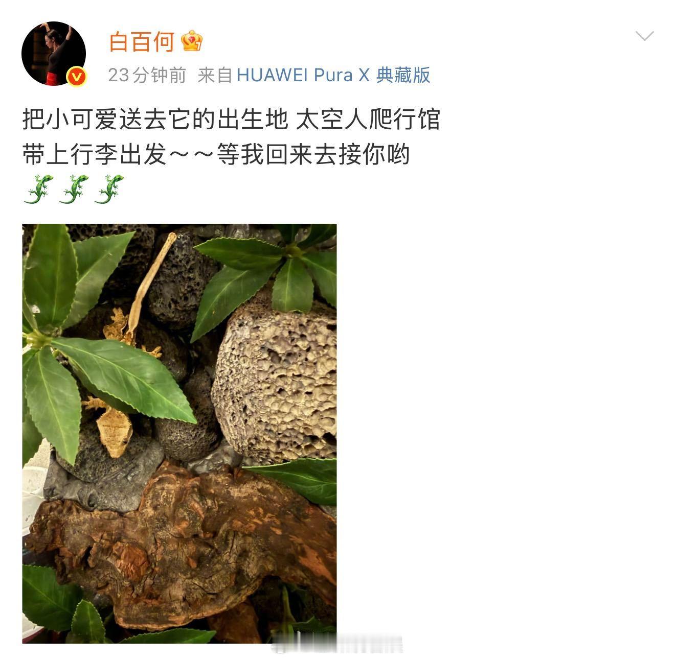 东京电影节开幕在即，机场路透黑色皮夹克完全看不出来是要出发电影节活动，太松弛了～