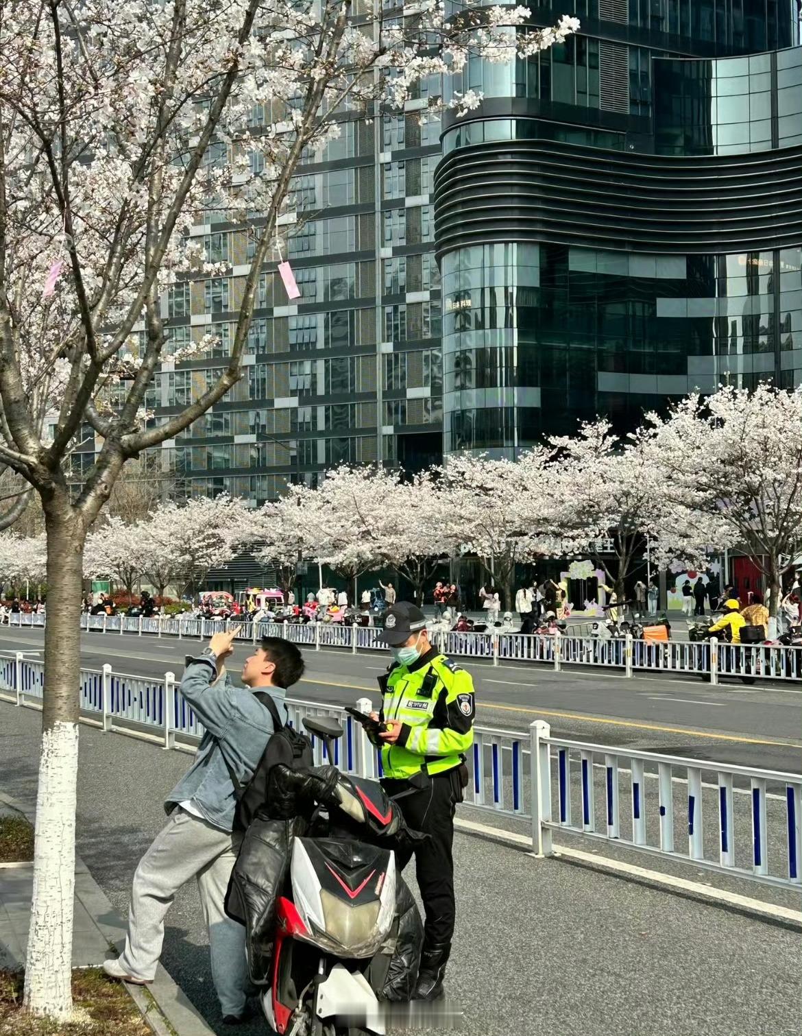 突然明白了什么叫课题分离“事已至此，先拍照吧” 