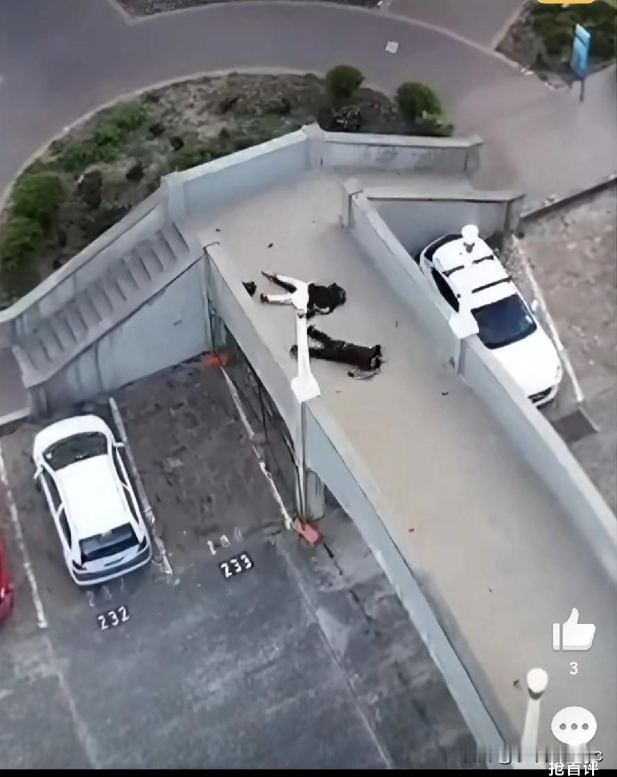 悉尼邦代海滩发生大规模恐怖枪击事件，目前至少造成10人死亡、十余人受伤，新南威尔